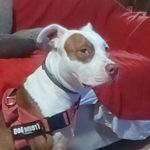 Julio Saez - @julio_saez0210 - Instagram