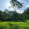 Julio salas - @lamby029 - TikTok