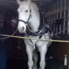 Julio Stuart - @julio.stuart47 - TikTok
