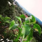 juliotanamal - @juliotanamal8103 - Instagram