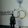 Julio Terry - @julio.terry - TikTok
