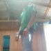 Julio Vivas - Facebook