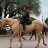 Julio Vivas - @julio.vivas7 - TikTok