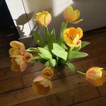 Julius Atkinson - @juliusatkinson7716 - Instagram