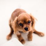 Julius Atkinson - @juliusatkinson4016 - Instagram