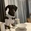 Julius Berger - @julius.berger36 - TikTok
