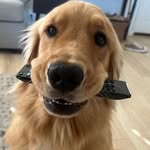 Julius Bernard - @goldenboyjulius - Instagram