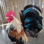 Julius Blanco - Facebook
