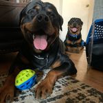 Julius & Blue Olivas - @juliusandblue - Instagram