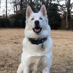 JuliusBlue - @juliusblue2 - Instagram