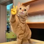 @julius_.bowman - Instagram