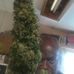 Julius Butler - Facebook