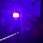 Julius Carr - @what_sup_gang241 - Instagram