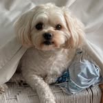 MaryEllen Julius Conway - @maryellenconwayjulius - Instagram