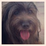 Julius Cook - @fluentrudy - Instagram