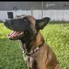 Donald julius - @donald.julius7 - TikTok