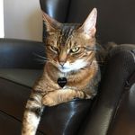 Julius Eagle - @eagle.julius - Instagram