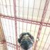 Julius Elbore - Facebook