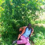 Julius Kaaria Ngera Farmer - Facebook