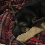 Julius fleming - @julius.fleming - Instagram