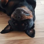 Julius Hancock - @julius.hancock.9 - Instagram