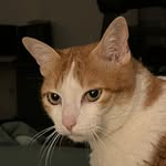Julius Helms - @julius.helms - Instagram