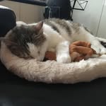 Julius - @julius_henninger - Instagram