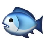 🐟 Julius Holmes 🐠 Fishing - @london.fishing - Instagram
