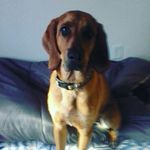 julius jacobs - @juliusjacobs05 - Instagram