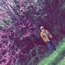 Julius Kessler - Facebook