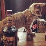 King Julius - @kesslerjulius - Instagram