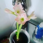Julius larry - @lopezjulius09 - Instagram