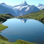 Julius Meier - @juliusmeier6 - Instagram