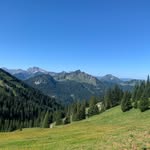 Julius Meier - @juliusmeier2025 - Instagram