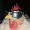juliusmeyer020 - @juliusmeyer020 - TikTok