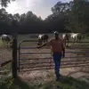 Julius Mitchell - @juliusmitchell0 - TikTok