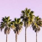Julius - @julius.mueller334 - Instagram