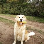 Julius.otto - @julius.otto02 - Instagram