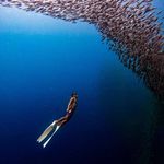 Julius Patrick Er-er Timonio - @nakz_dive - Instagram