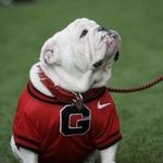 Danny Julius Phillips Jr - @dannyphillips517 - Instagram
