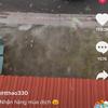 JuliusRaynorDVMUR95107 - @juliusraynordvmur95107 - TikTok