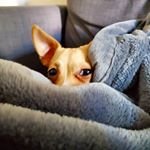 Julius Reeves - @julius_reevesg5k_qnqd0cl - Instagram