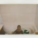 Julius Rollins - Facebook
