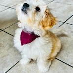 Julius Patrick Schultz - Facebook