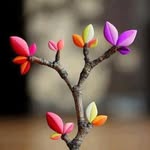 Julius Schultz - @juliusschultz67 - Instagram