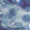 Julius Smith - @juliussmith0 - TikTok