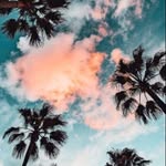 👑Julius 👑 - @julius_stein_ - Instagram