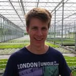 Julius Stein - @juliusschnukelputz - Instagram
