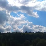 Julius Stephens - @arletaaban - Instagram