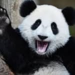 juliusstephens - @juliuss4679 - Instagram